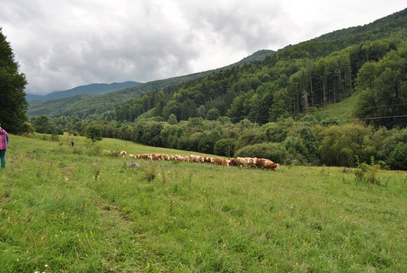 pepajs.cz